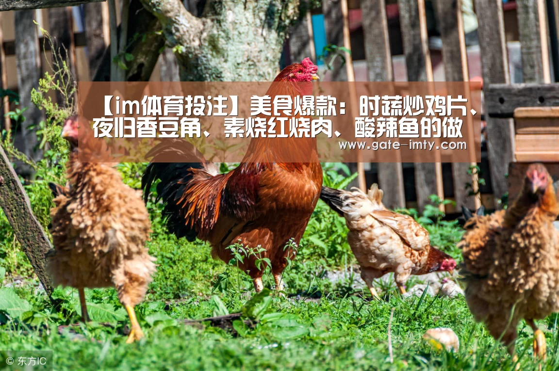 【im体育投注】美食爆款:时蔬炒鸡片、夜归香豆角、素烧红烧肉、酸辣鱼的做法(图2) im足球