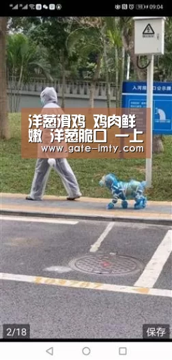 洋葱滑鸡 鸡肉鲜嫩 洋葱脆口 一上桌就被抢光了_IMAPP下载(图2) IM足球