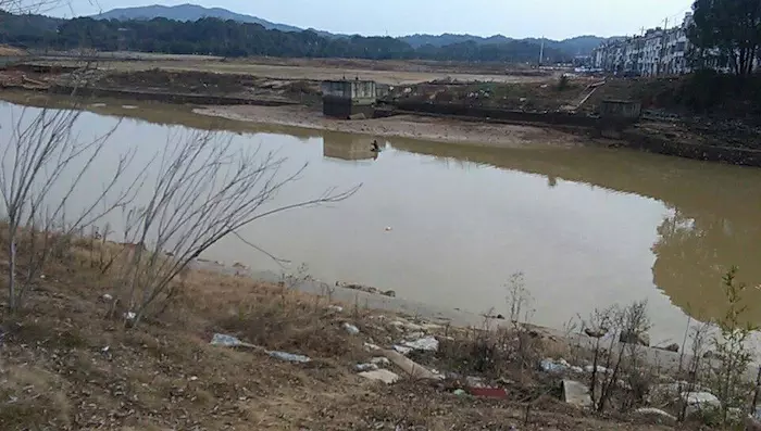 IMAPP下载-美食优选:葱油金针菇,宫保虾球,大酱炒鸡蛋的做法(图1) IMAPP下载